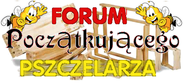 Forum F P P Strona Gwna